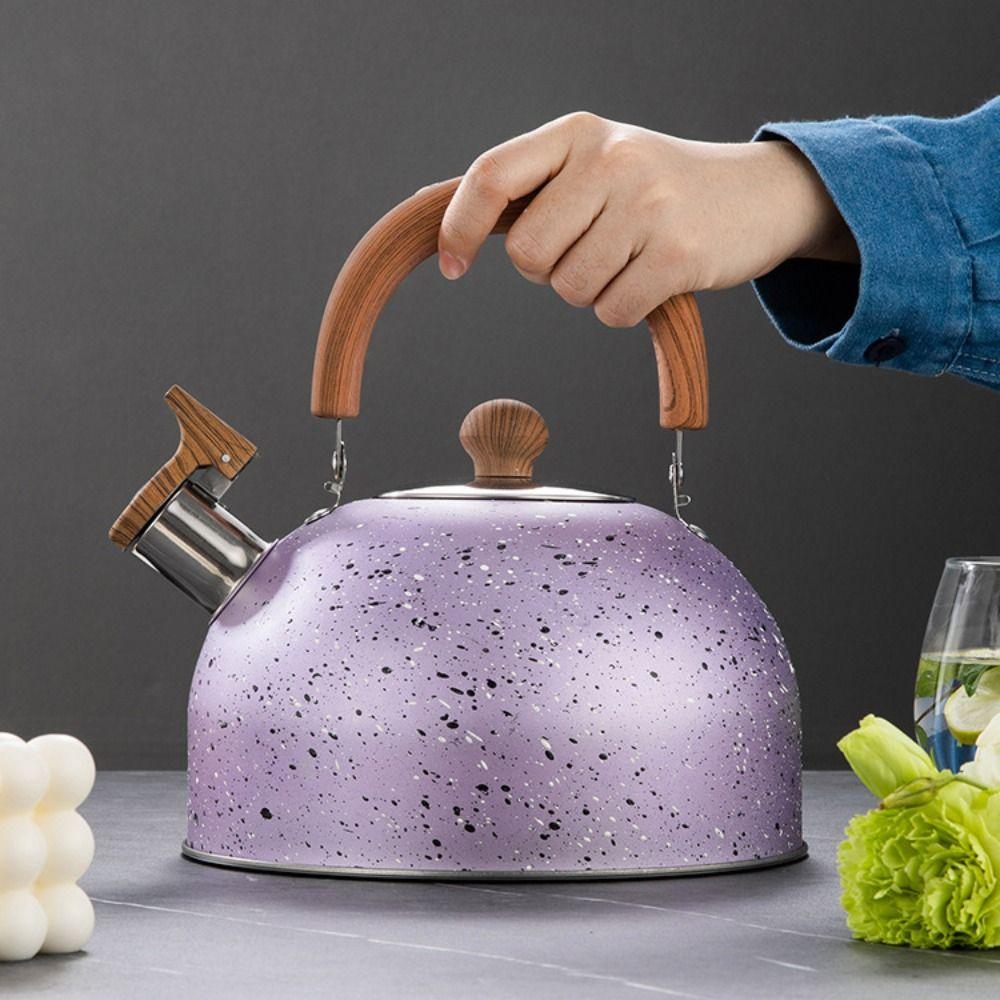 Flat Bottom Star Point Whistle Kettle 2/3L Teapot Durable Stove Water Kettle  Induction Cooker