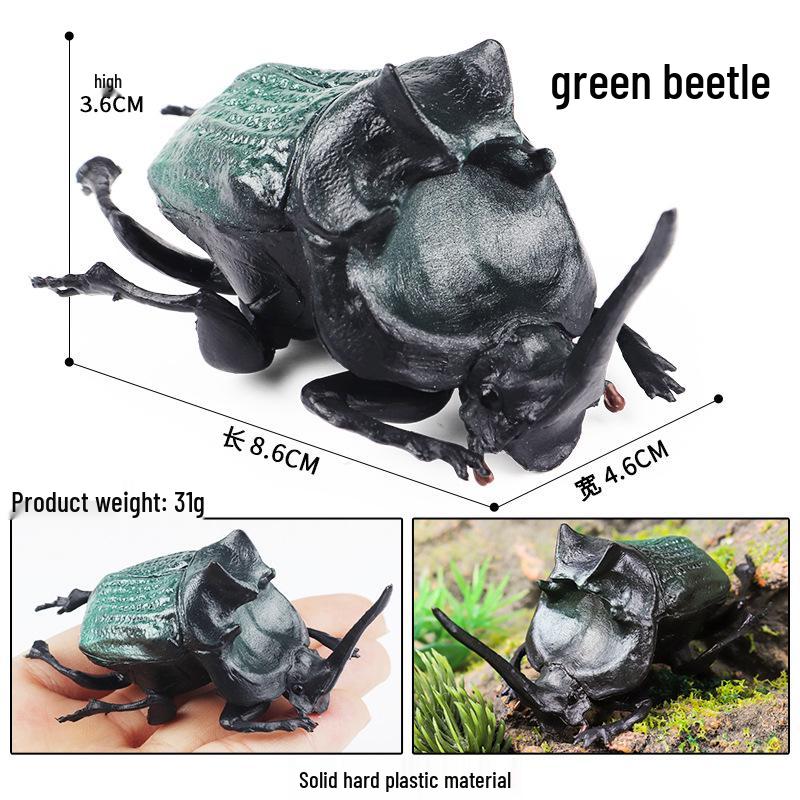 Children s Cognitive Simulation Insect & Animal Models: Beetle, Snail, Dung Beetle - Micro Landscape Home Toys & Ornaments
