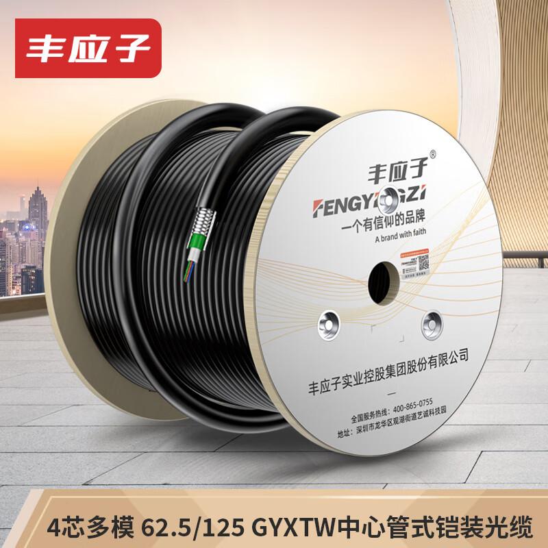 Fengyingzi Armored Outdoor Fiber Optic Cables