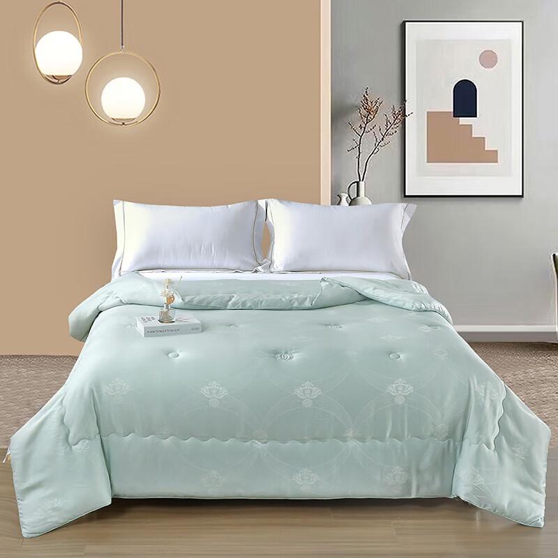 

Silver Frost Dream Mulberry Silk All-Season Quilt