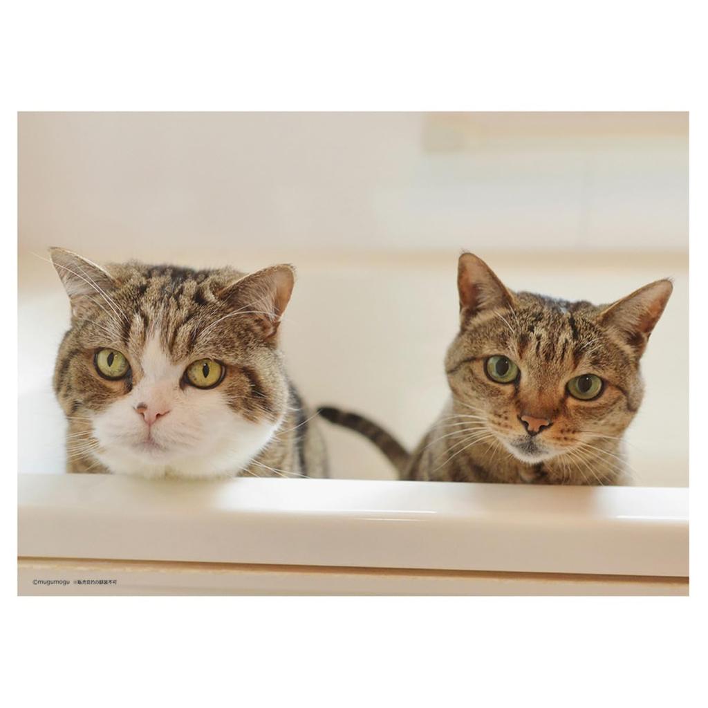 2025 Maruchan (Desktop) Calendar No.042