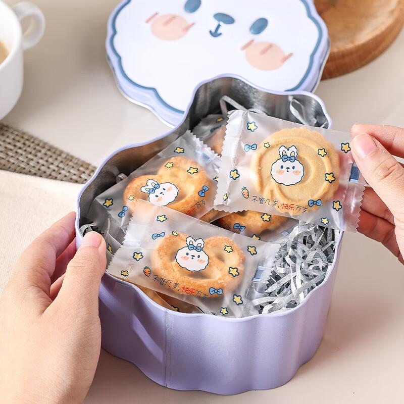 Meidi Cute Rabbit Iron Storage Tins (Set of 2)