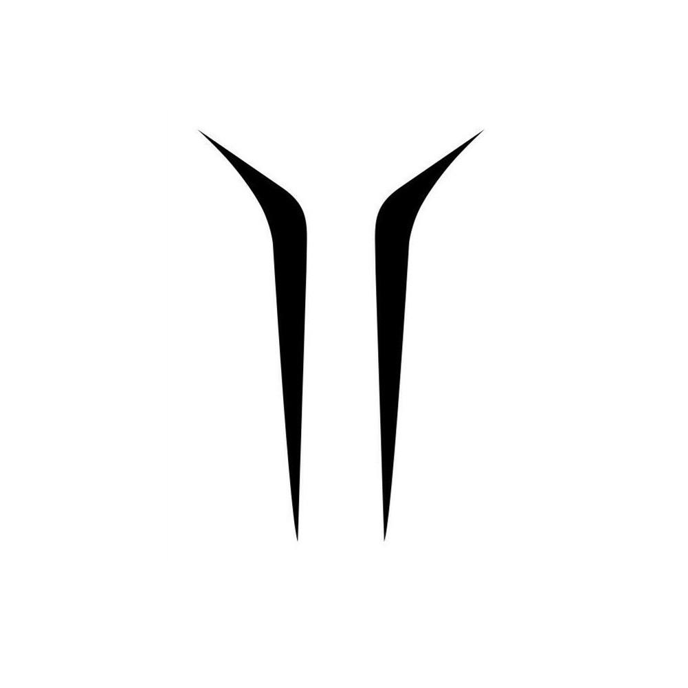 Car Hood Decal Car Decals Replaces Stickers Vinyl 2Pcs