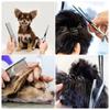 1/5PCS Pet Grooming Scissors Professional Set Stainless Steel Animal Barber Cutting Tools Hair Trimming for Cats and Dogs