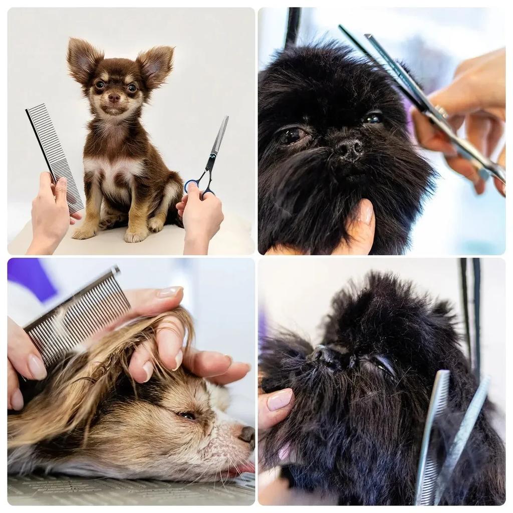 1/5PCS Pet Grooming Scissors Professional Set Stainless Steel Animal Barber Cutting Tools Hair Trimming for Cats and Dogs