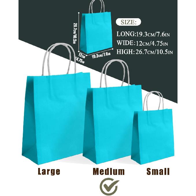 Qiqee 24PCS Medium Gift Bag with Handles Bulk 11"x5"x8" Gift Bags Light Green Bags Multiple Uses (Medium Size)