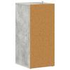 Shoe Cabinet Concrete Grey 31.5 x 35 x 70 cm Engineered Wood