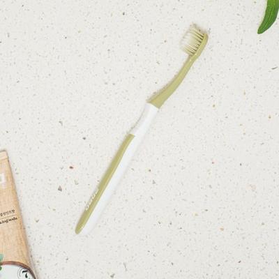 2080 Toothbrush Fine Bristles Containing Sea Bamboo Shoot Salt