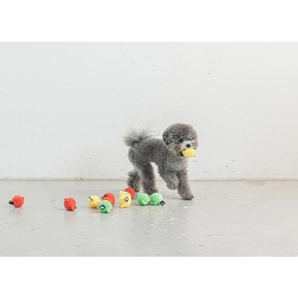 Ciao Me Cane Orso Palla di Caramella Giocattolo Squeak Set da 3 pezzi 5,5 x 5,5 cm, Rosso, Verde, Giallo, 1 set