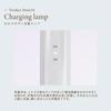 KINUJO KINUJO LuxeJewel Cordless Iron Silk Plate Maximum White For Overseas Use LuxeJewel- 200℃ 37Lx3.1Wcm