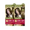 Elastine Salon De Color Hair Dye Ash Brown 100g X 2