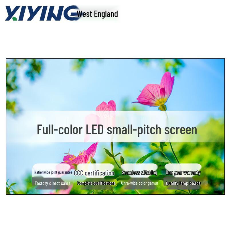 P1.25 Indoor Full-Color Small Pitch LED Display CN plug (adapter included)