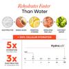 Wellbeing Nutrition HydraSalt Electrolyte Drink with Zero Added Sugar | 5 Electrolytes & 3 Vitamins for Instant Hydration, Energy, Performance &