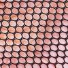 Net Baits Storage Cage for Keep Minnows Quick Dry Fishing Basket Bucket Foldable Fishing Net Holder