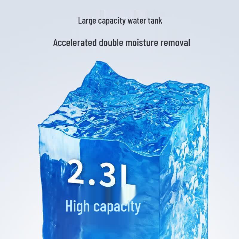 Haier 12L Home Dehumidifier CN plug (adapter included)