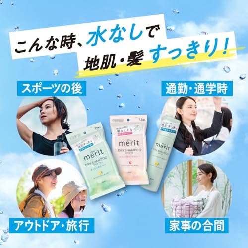 Merit Dry Shampoo Sheet, Smooth Hair Type, 20 Sheets