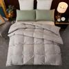 Hengyuanxiang All-Season Down Alternative Comforter