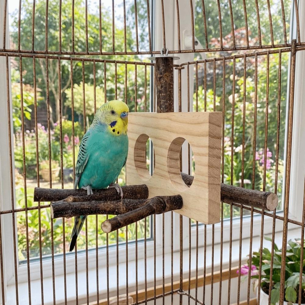 Detachable Parrot Parrot Perch Natural Bird Stand Perch For Parakeet Budgie Cockatoos