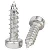 201 Stainless Steel Hexagonal Self-Tapping Screw with Low Cylindrical Head - M2/M3/M4/M5