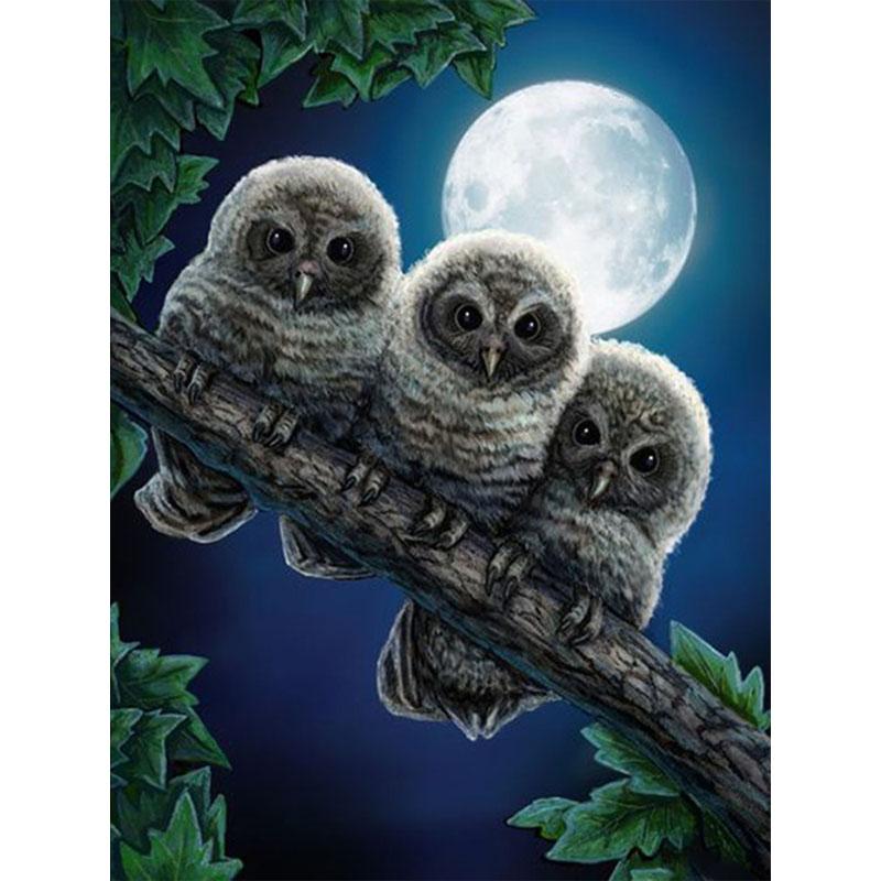 

DIY Алмазная мозаика Ручная работа Вышивка Картины Мультфильм сова Полный квадрат Убийство Классная вышивка Крестик Декор Холст