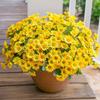 Artificial Flower Door Basket Wreath Cascading Green Leaves Branches Realistic Look UV Resistant Faux Flower Home Decor
