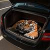 1Pcs Tiger Print Car Trunk Mat Non-Slip Heavy-Duty Cargo Liner for SUVs Sedans Trucks Protects Against Pets Protective Cover