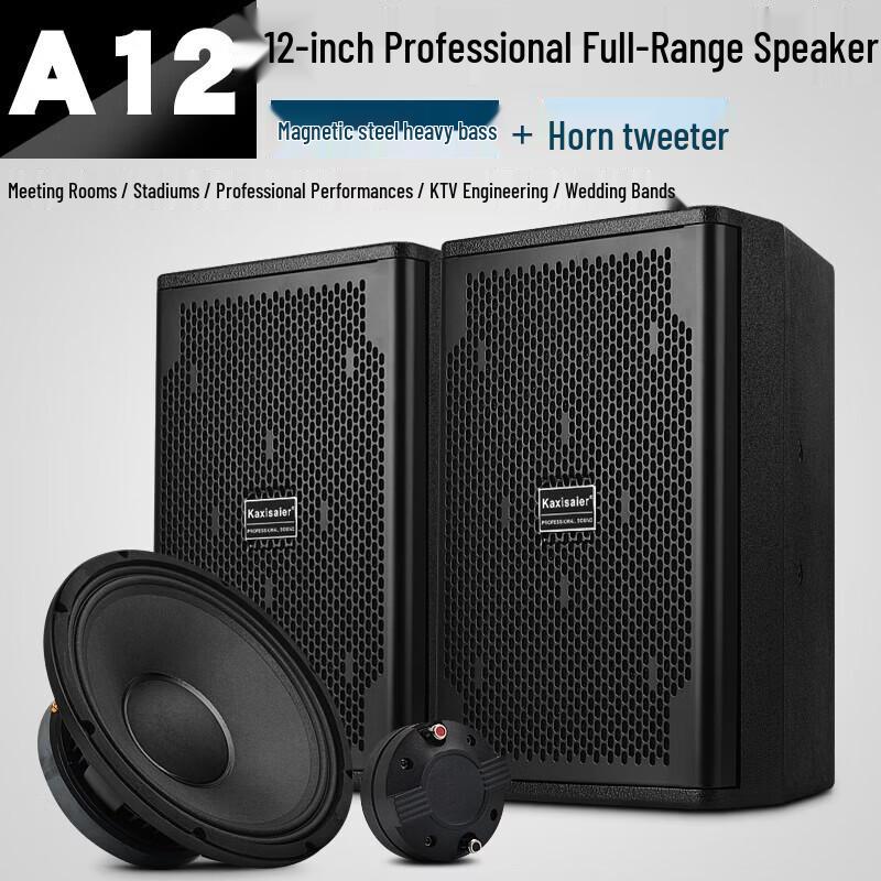 KAXISAIER Professional Full-Range Passive Speaker CN Plug (adapter Included)