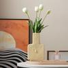 Creative Face Vase Ceramic Hydroponic Vase Flower Arrangement Home Decor Desktop Ornaments Garden Decoration