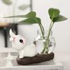Cute Rabbit Hydroponic Plant Vases Transparent Glass Vase Tabletop Decoration Aquatic Flower Bottle with Wooden Base