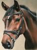 Pittura Diamante 5D Nuovi Arrivi Cavallo Ricamo Rotondo Completo Animali Mosaico Regalo Fatto a Mano Decorazione per la Casa