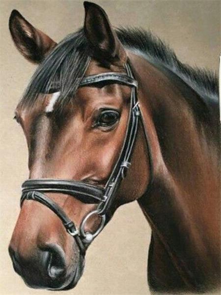 Pittura Diamante 5D Nuovi Arrivi Cavallo Ricamo Rotondo Completo Animali Mosaico Regalo Fatto a Mano Decorazione per la Casa