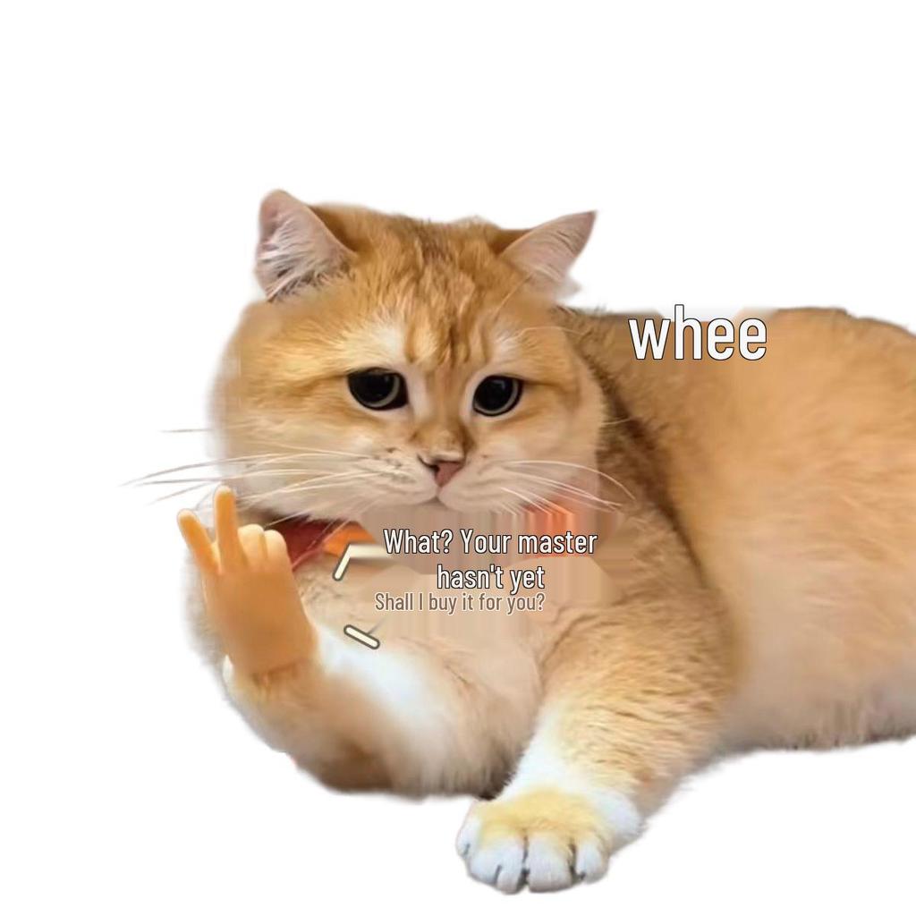 Funny Cat Paw Gloves: Cute Petting Prank with Small Hands Simulation