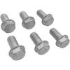 6-teiliges Set Schwungrad-Flexplattenschrauben für GM LS-Motoren LS1, LS2, LS3 (4,8, 5,3, 6,0 l), hochfest, verzinkt