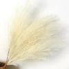 90/120CM 1Pcs Fluffy Pampas Grass Bouquet for Wedding Home Party Vase Decoration Boho Fake Plant Reed Flowers Arrangement