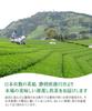 Top Smile Kakegawa Prefecture First Picked First Flush Green Tea Leaves Deep Steamed Cover Tea Premium 100g 3 Bags