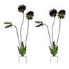 Metal Carnivorous Plant Garden Stake Handmade Rainproof Yard Sculpture for Flower Beds Patios Planters Rustproof Unique Quirky Garden Gift