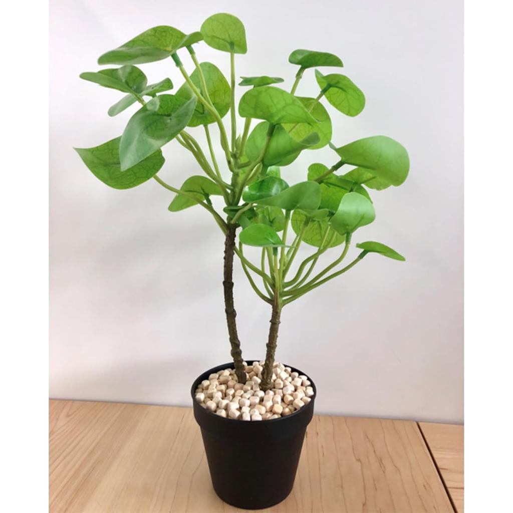 Forest Life Wood Chip Hinoki sachet 200ml Aromatherapy Interior Dehumidification Gardening (1 included) etc. (Hinoki)