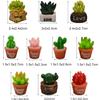 Pinenjoy 20 Pieces Miniature Cactus Plant Figurines, Cute Succulent Ornaments, Soothing Decor, Garden Accessories, Bonsai, Succulent Spheres,