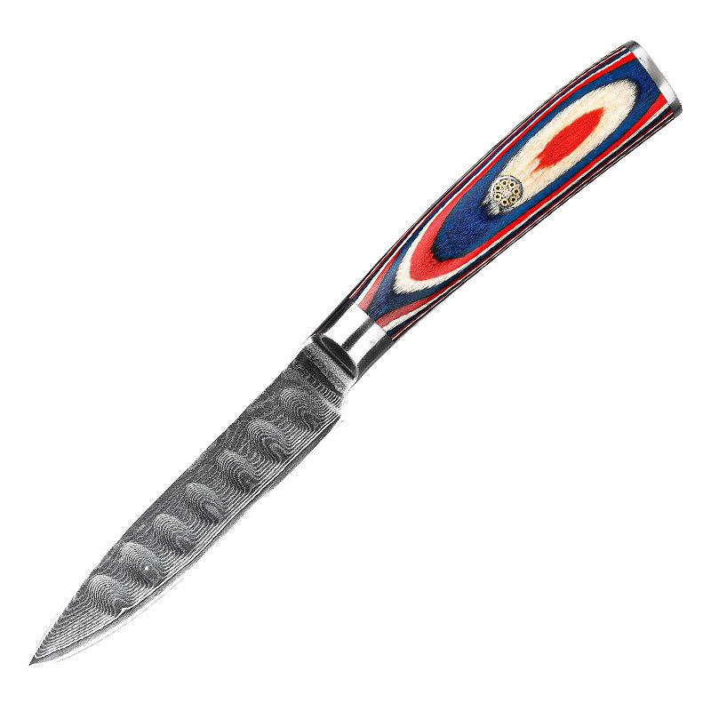 Kuchyňské nože z damaškové oceli Kuchyňské nože Kráječ ovoce Užitkový nůž Barva Dřevěná rukojeť Nástroje na vaření