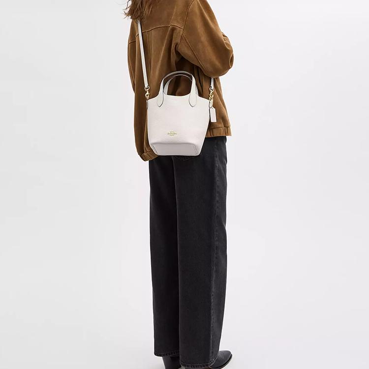 Coach Hanna 17 Magnetic Closure Logo Leather Bucket Bag Women Handbags Chalk-White CR168-IMCHK