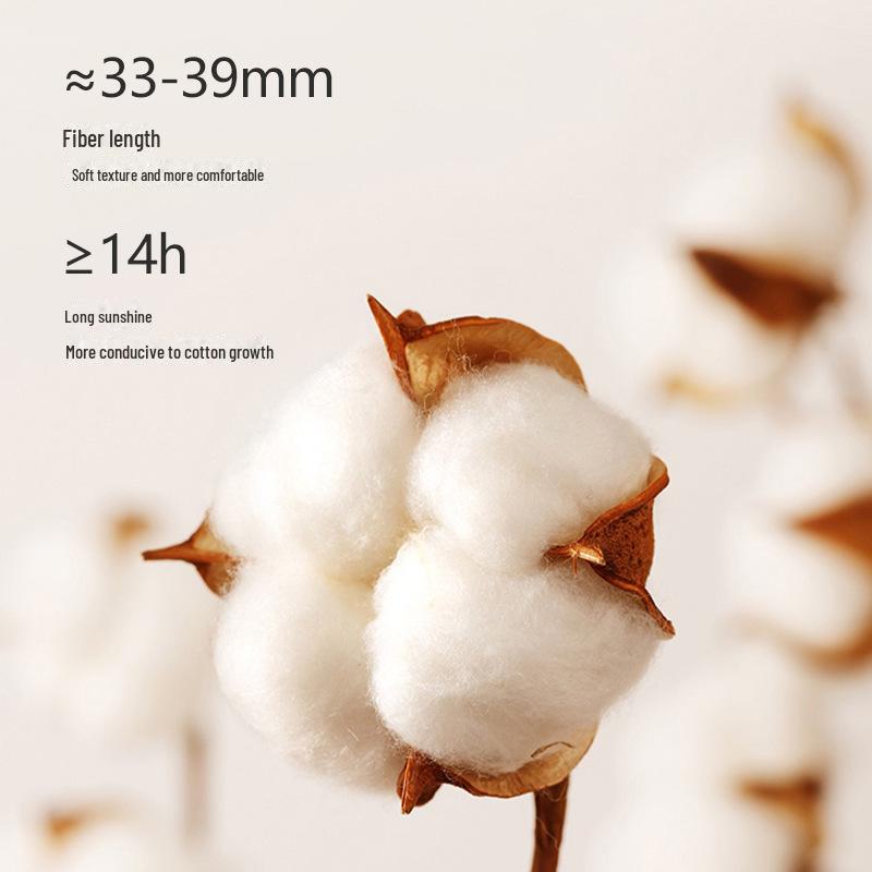 Thermal Velvet Slim Fit Couple Suit: Women's & Men's Round Neck Autumn/Winter Underwear