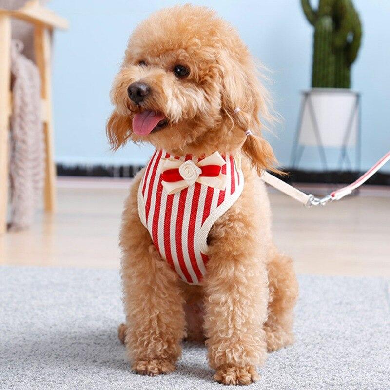 striped dog harness
