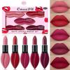 Matte Lipstick Makeup Set,5PCS Long Lasting Non-Stick Smudge Proof Lipstick,Highly Pigmented Shades Makeup Set,Velvet Texture Lip Gloss Smooth Lip Sta