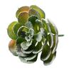 Micro Landscape Ornament Simulation No Watering Realistic Ornaments Flocking Texture Indoor