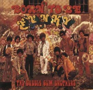 

CD BUBBLE GUM BROTHERS BORN TO BE FUNKY ESCB1076 Epic 1990 Japan SoulFunk Used