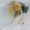 20D Nylon Spandex Light Elastic Mesh Fabric for Swimwear & Intimates
