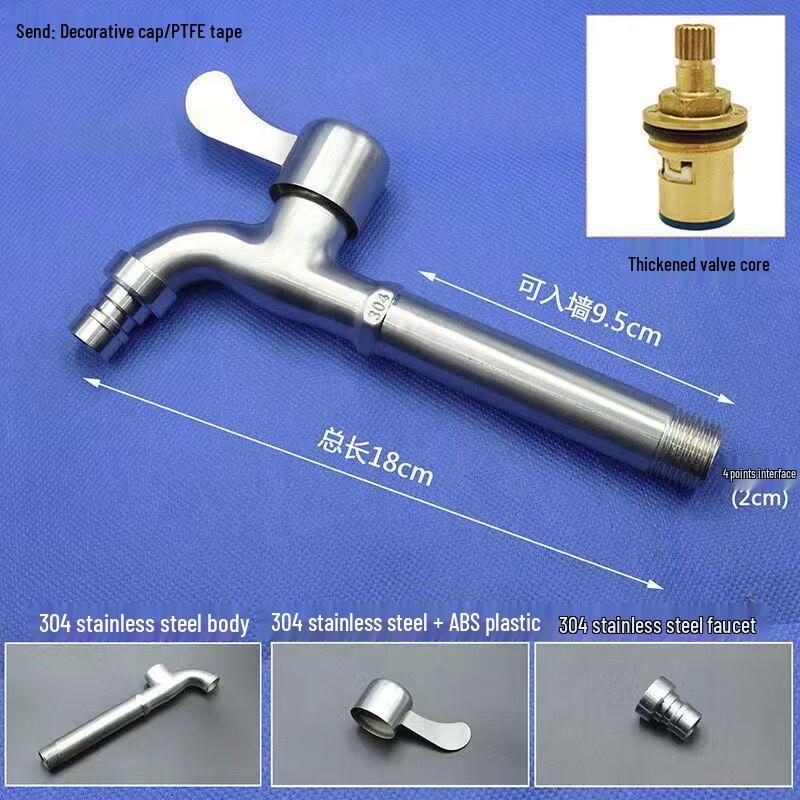 TLXT Wall-Mounted Stainless Steel Dual-Outlet Faucet