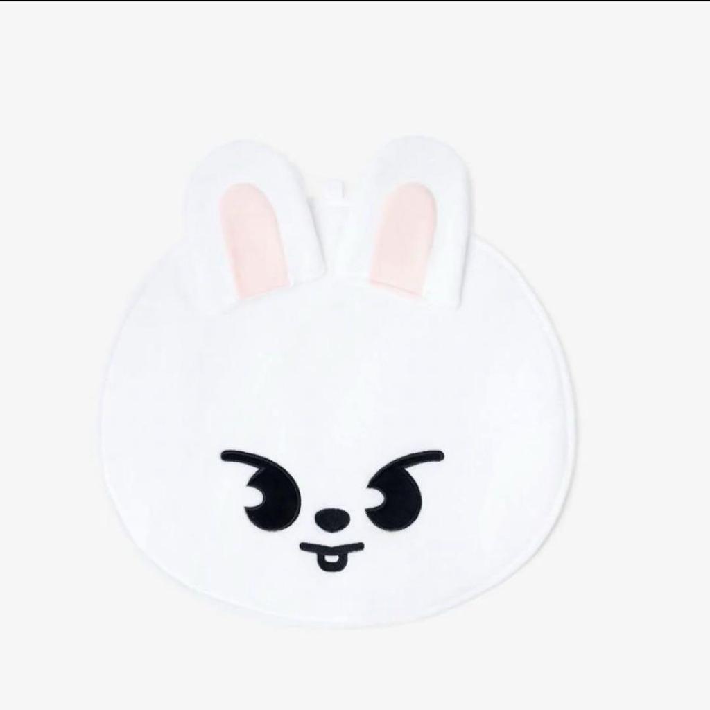[USED] Stray Kids Fan Case Leebit