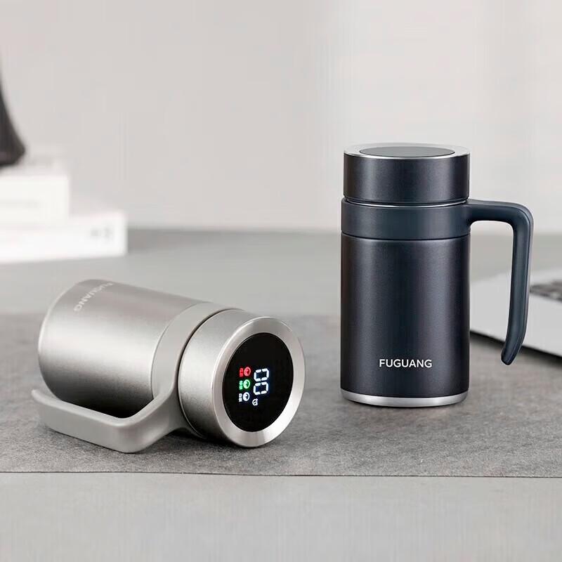 FUGUANG Zhiming Smart Tea Infuser Thermos with Temperature Display, 500ml