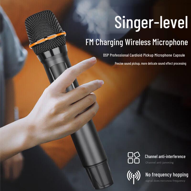SAST SW-50 Portable Karaoke Speaker (CN version)